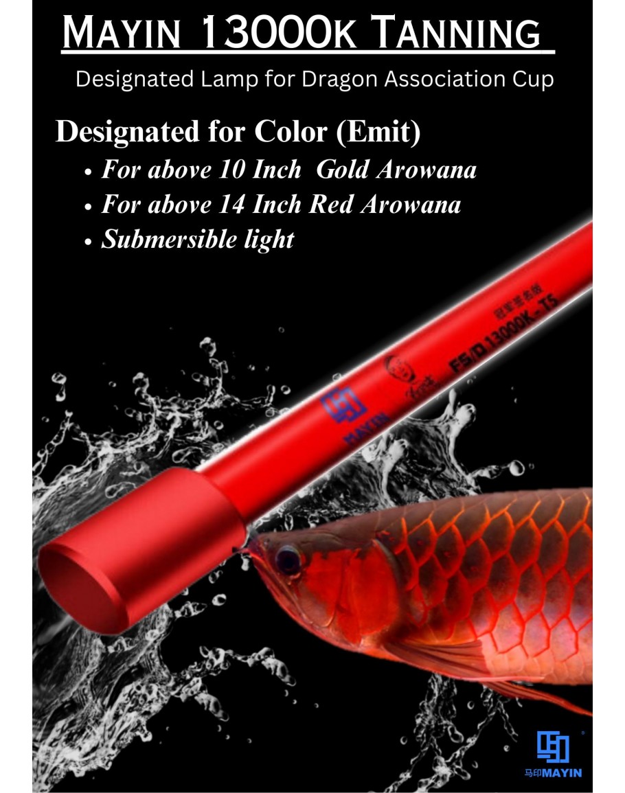 MAYIN 13000K TANNING LIGHT